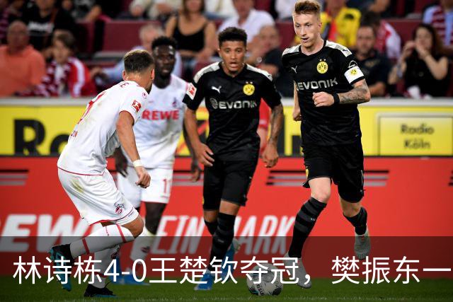 林诗栋4-0王楚钦夺冠，樊振东一幕再次出现，日媒发文“看热闹”